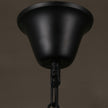 Clear Glass Bowl Pendant Light