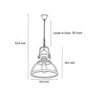 Clear Glass Bowl Pendant Light