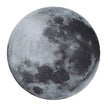Full Moon LED Wall Lamp